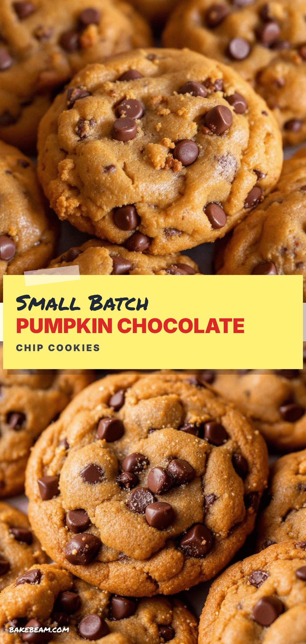 small-batch pumpkin chocolate chip cookies recipe