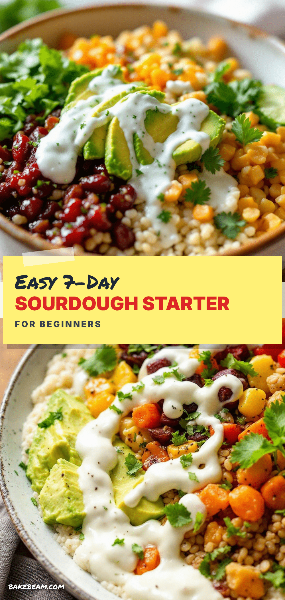sourdough starter for beginners recipe