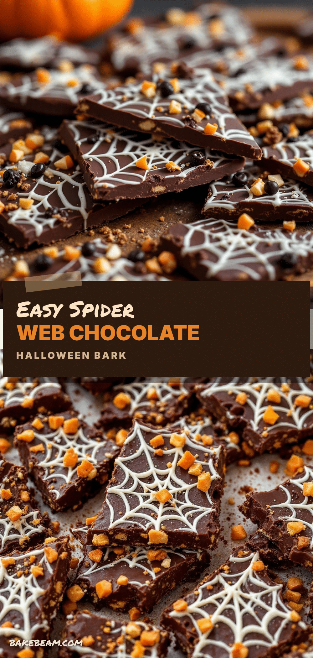 spider web chocolate bark recipe